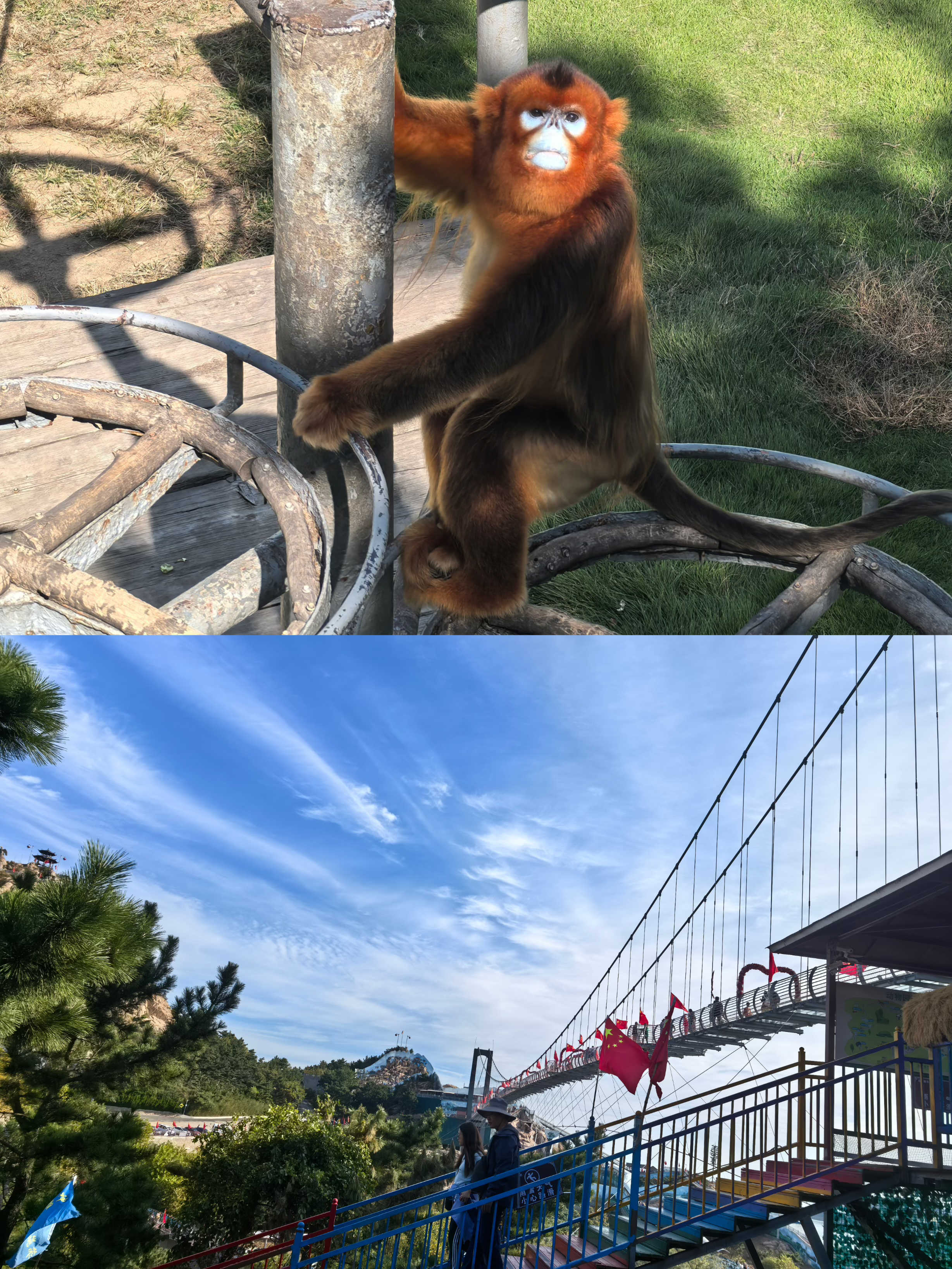 BJLƽ̨(�й���)����