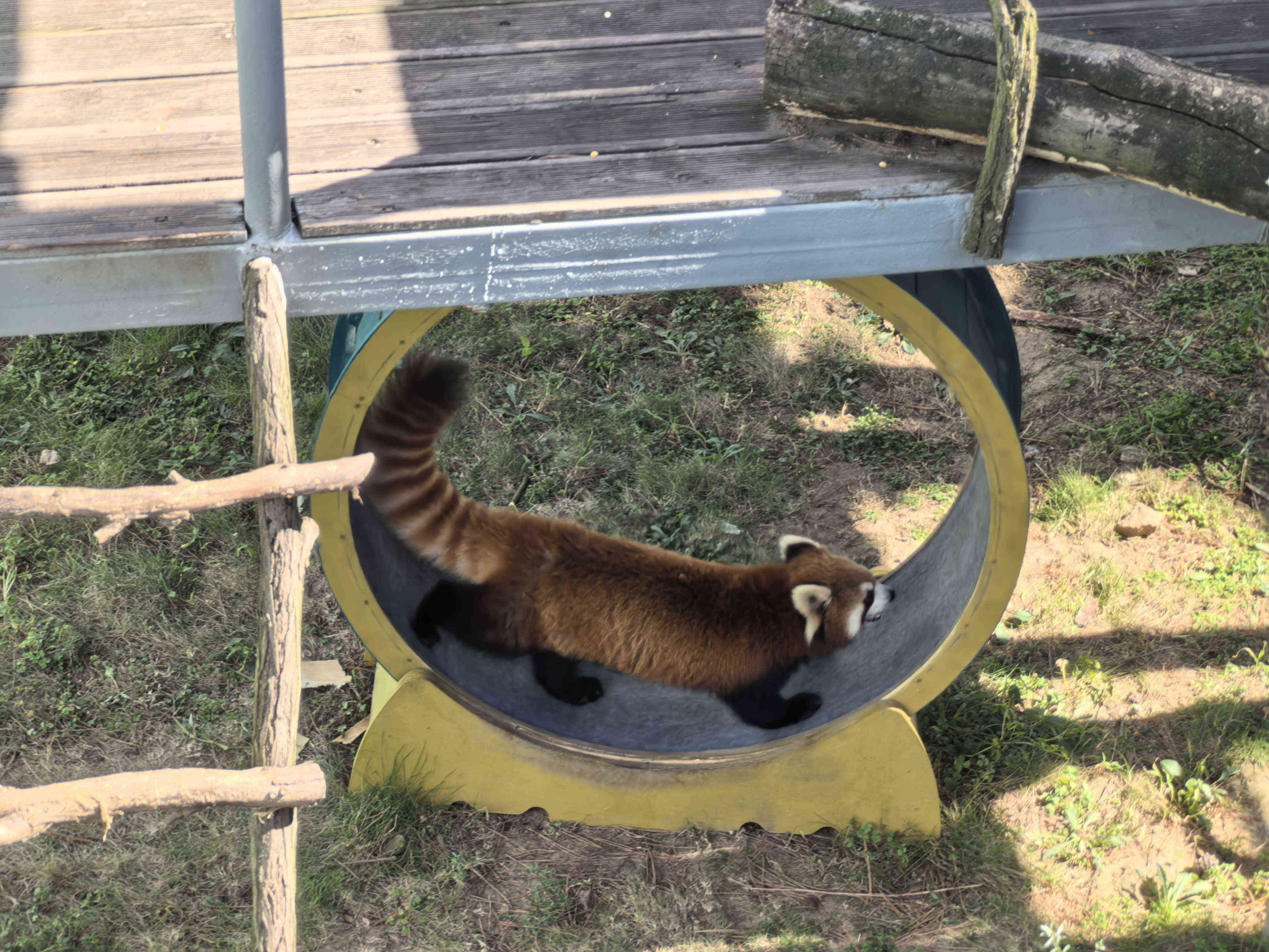 BJLƽ̨(�й���)����